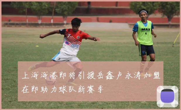 上海海港即将引援岳鑫卢永涛加盟在即助力球队新赛季