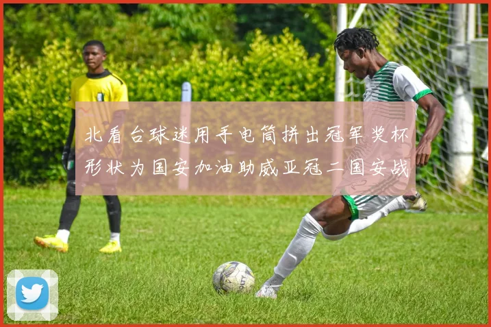 北看台球迷用手电筒拼出冠军奖杯形状为国安加油助威亚冠二国安战麦克阿瑟