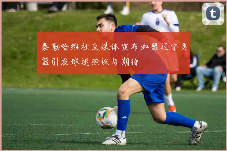 泰勒哈维社交媒体宣布加盟辽宁男篮引发球迷热议与期待