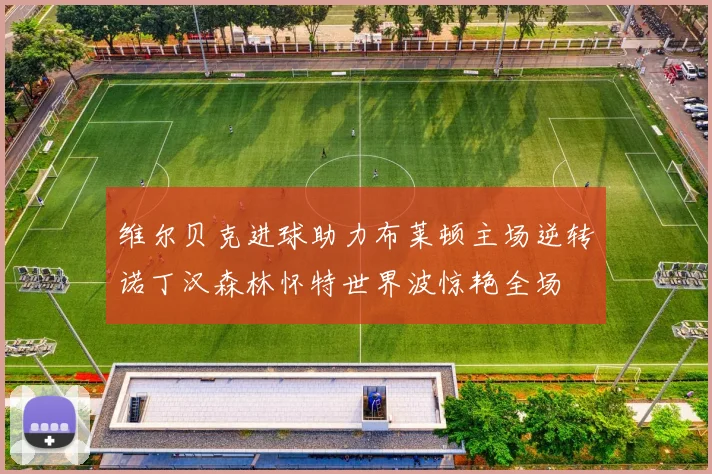 维尔贝克进球助力布莱顿主场逆转诺丁汉森林怀特世界波惊艳全场